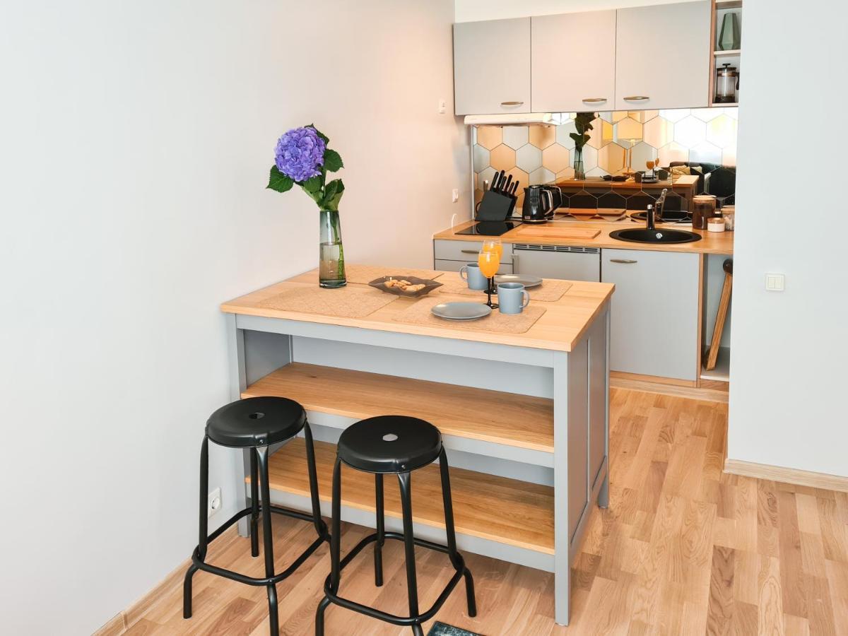 Ohtu Poik 2 City Center Basement Apartment Pärnu Extérieur photo