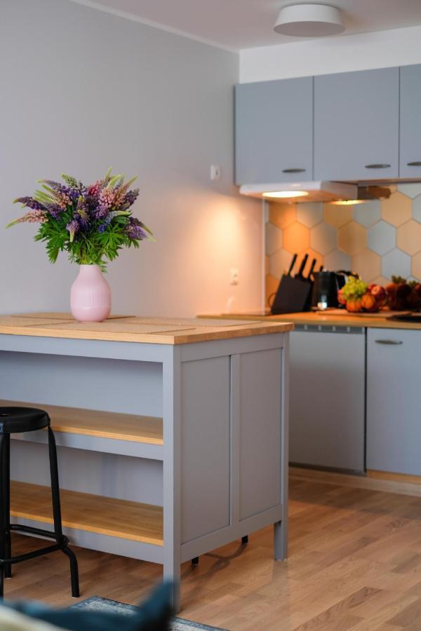 Ohtu Poik 2 City Center Basement Apartment Pärnu Extérieur photo